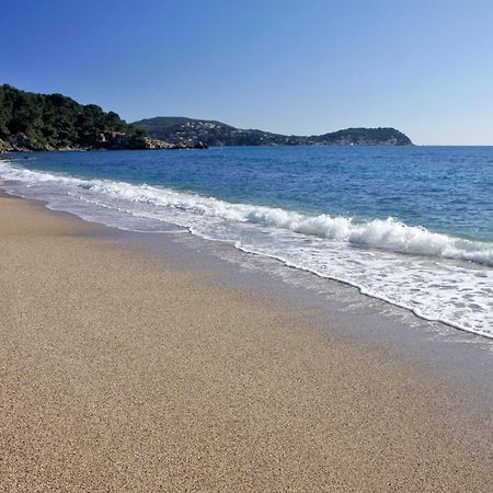 A Deux Pas De La Plage De Sable Le Pradet Extérieur photo