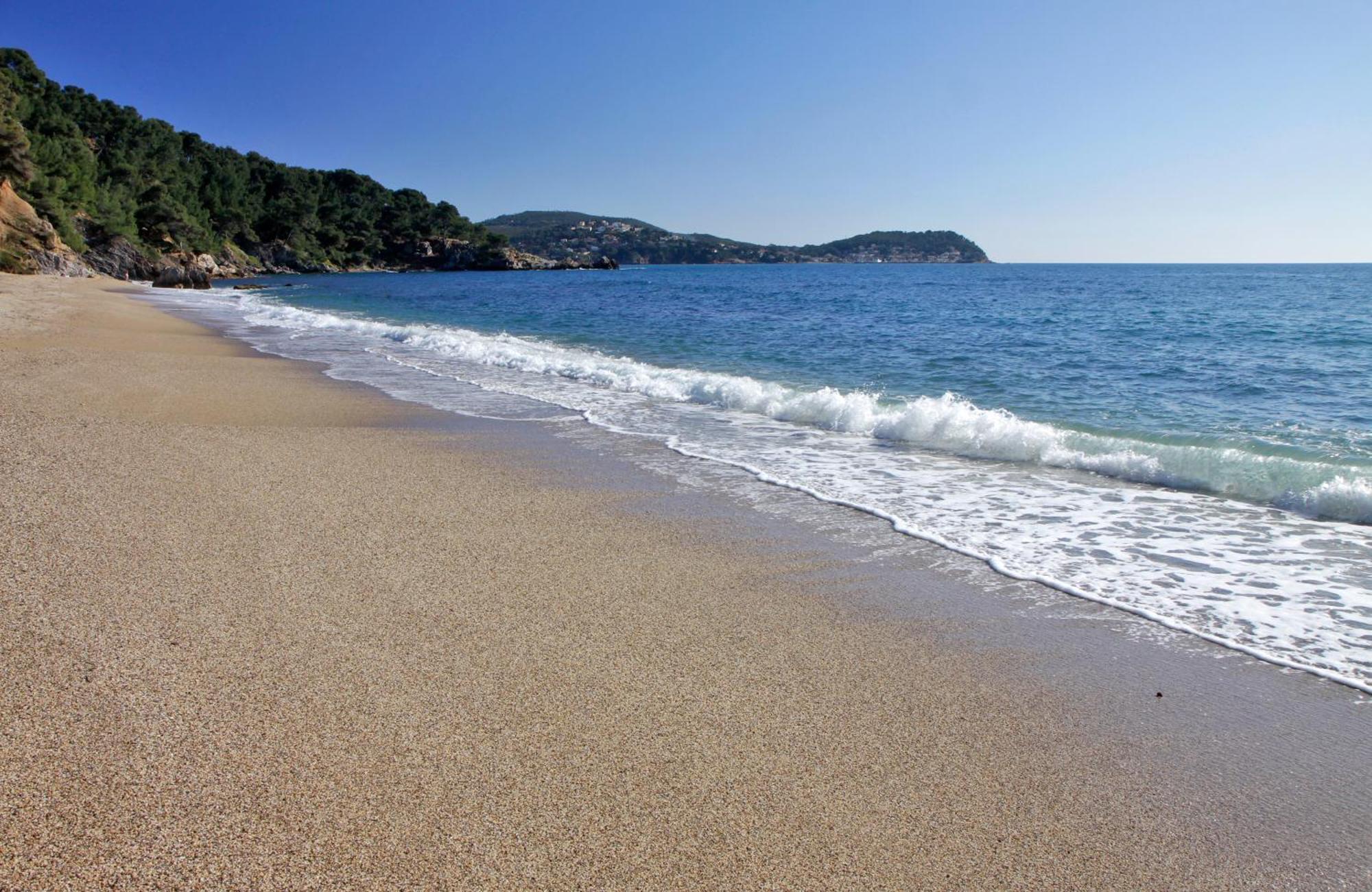A Deux Pas De La Plage De Sable Le Pradet Extérieur photo